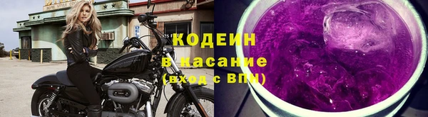 гидра Ельня