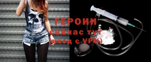гидра Ельня