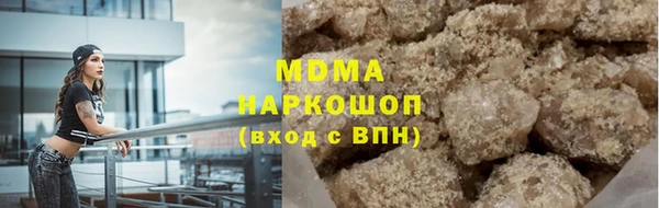прущие грибы Елабуга