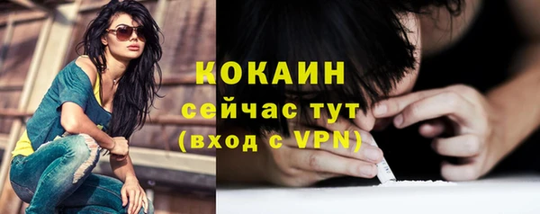 гидра Ельня