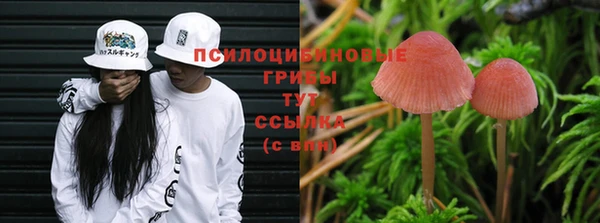 трава Елизово