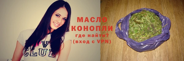 гидра Ельня