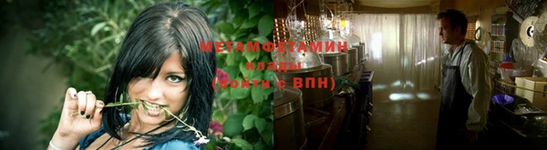 прущие грибы Елабуга