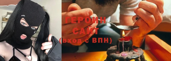 гидра Ельня