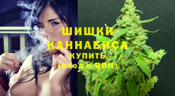 гидра Ельня
