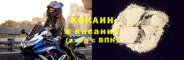 гидра Ельня