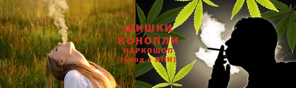 трава Елизово