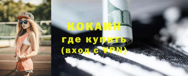 гидра Ельня