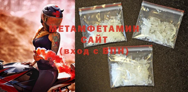 прущие грибы Елабуга