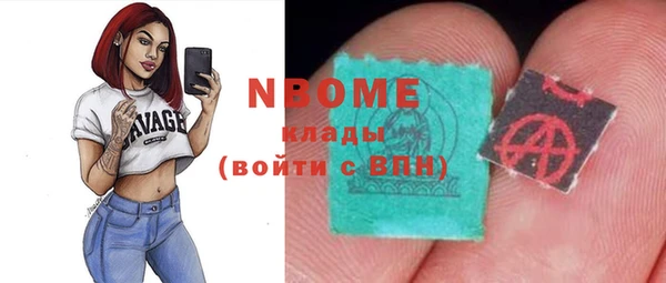 прущие грибы Елабуга