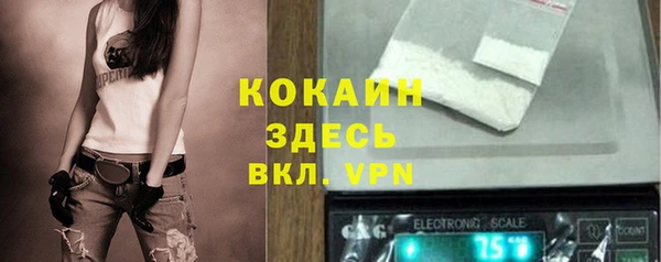 трава Елизово