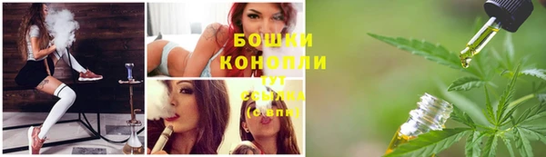гидра Ельня