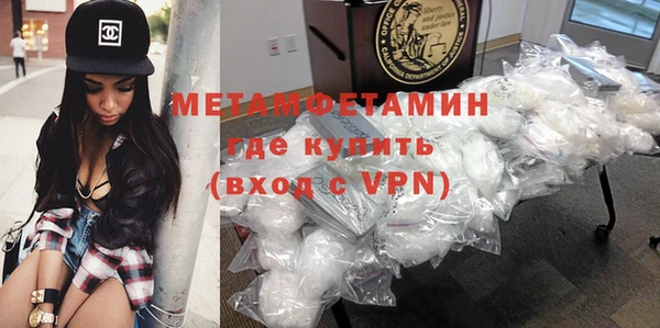 прущие грибы Елабуга