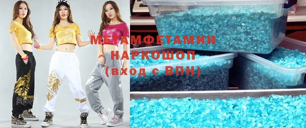 прущие грибы Елабуга
