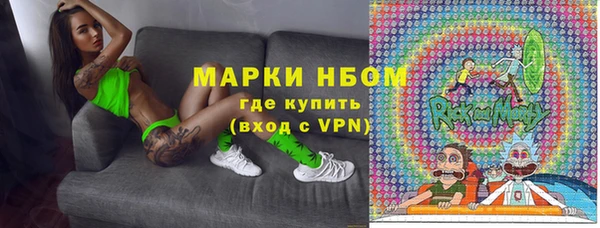 гидра Ельня