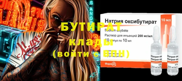 прущие грибы Елабуга
