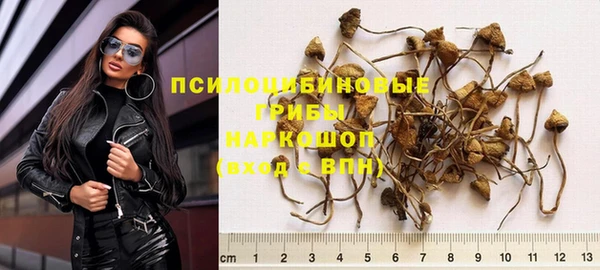 гидра Ельня