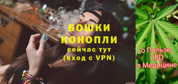 трава Елизово