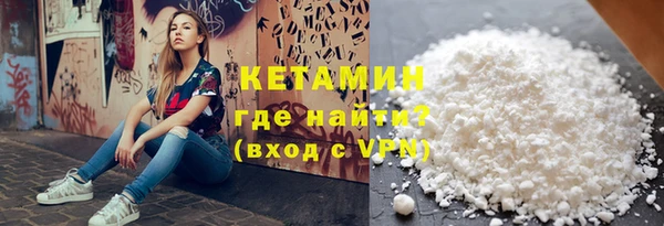 гидра Ельня
