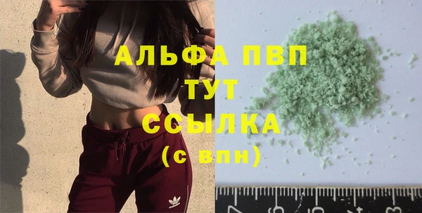 прущие грибы Елабуга