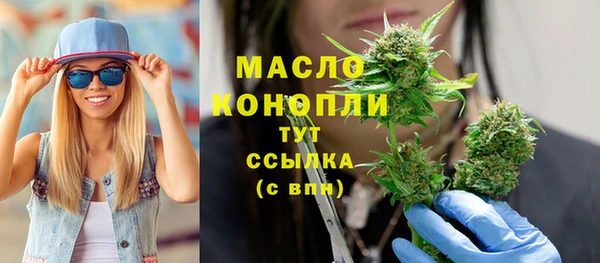 гидра Ельня