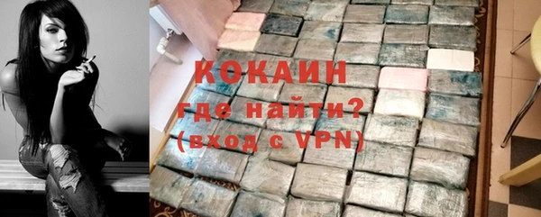 гидра Ельня