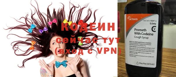 гидра Ельня