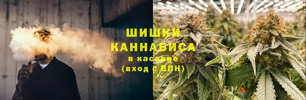 трава Елизово