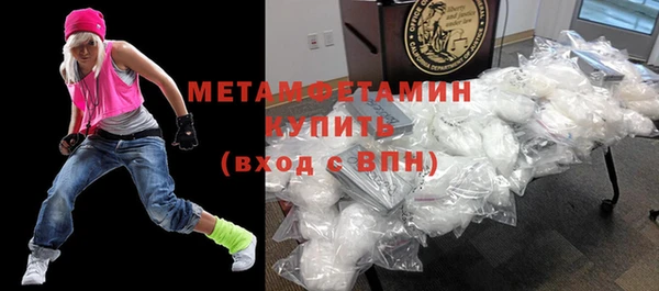 гидра Ельня