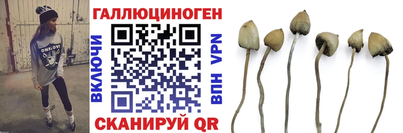 Галлюциногенные грибы Cubensis  как найти   OMG ССЫЛКА  Батайск 